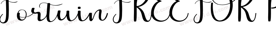 Fortuin FREE FOR PERSONAL USE字体转换